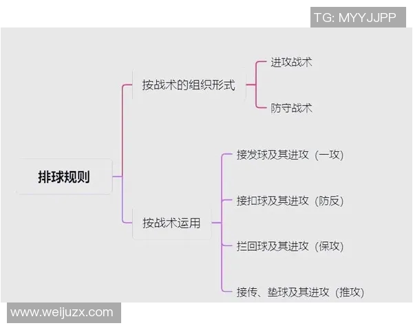 深入分析北京排球队的整体压制战术及其在比赛中的应用效果