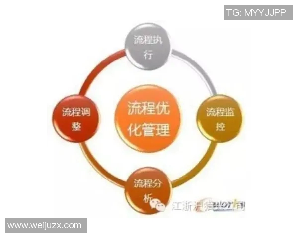 成都排球队比赛经验分析与大满贯点评的深度解读