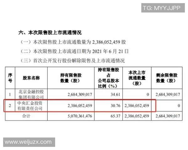 南京乒乓球队技术探讨：提升竞技水平与战术创新的关键因素分析